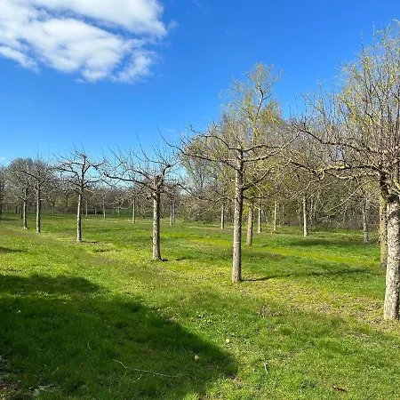 Stijlvol In De Brabantse Natuur! Tuynloodz B Vakantiehuis Beers (North Brabant)