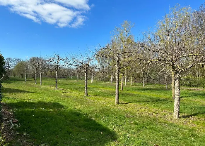 Stijlvol In De Brabantse Natuur! Tuynloodz B Σπίτι διακοπών Beers (North Brabant)